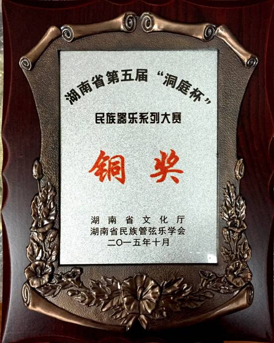 2015省“洞庭杯”获铜奖.jpg