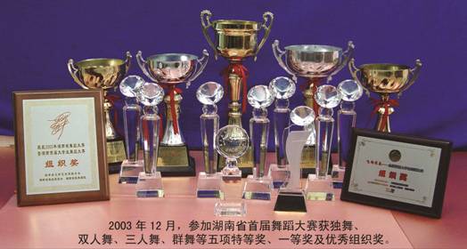 03年省首届舞蹈大赛获奖牌匾.jpg